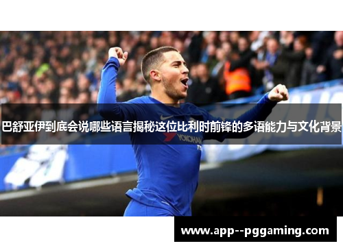 巴舒亚伊到底会说哪些语言揭秘这位比利时前锋的多语能力与文化背景