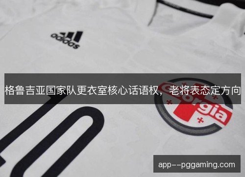 格鲁吉亚国家队更衣室核心话语权，老将表态定方向